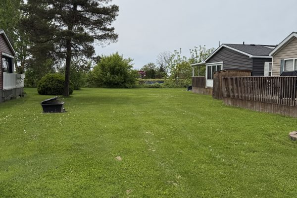 358 Merlot Street
