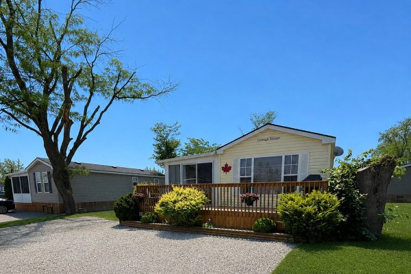 503 Grapevine Drive
