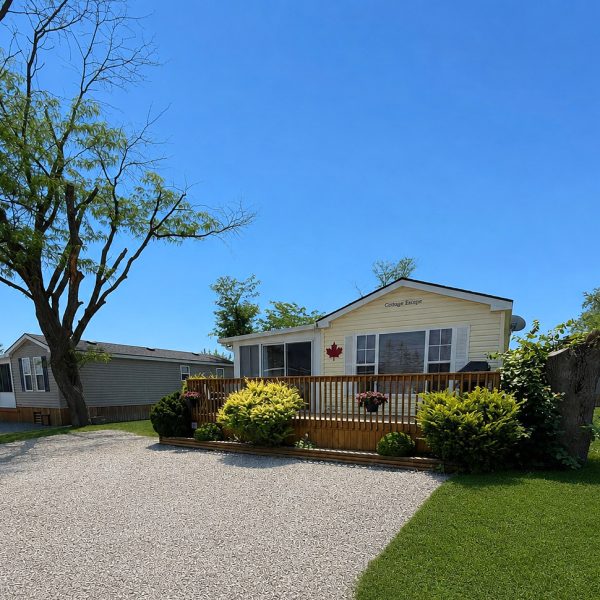 503 Grapevine Drive